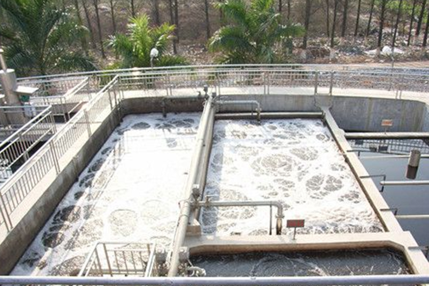 A pet food factory wastewater treatment station project