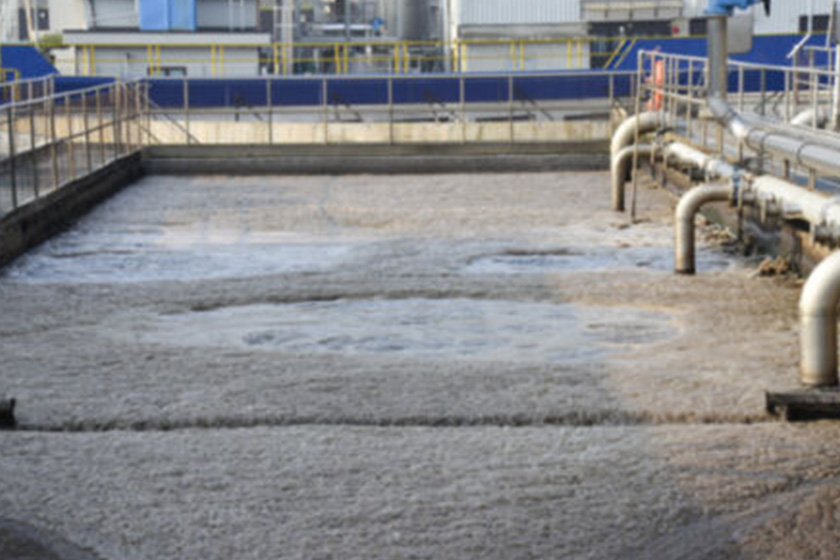 A slaughterhouse meat processing wastewater treatment station project