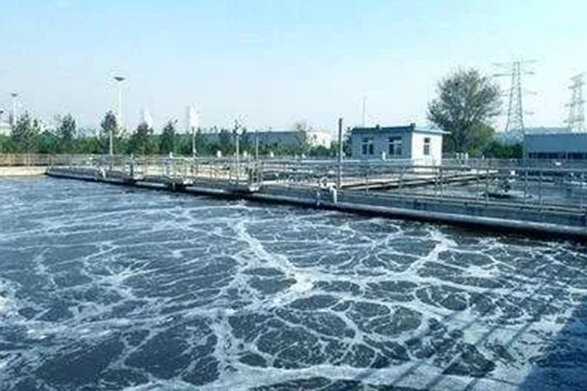 A canning factory wastewater treatment station project