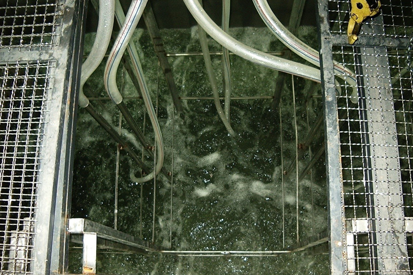 A college sewage treatment and reuse station project